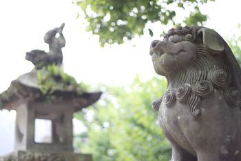 Экскурсия "Фукуока и храм Дадзайфу Тэнмангу " (Остров Кюсю)
