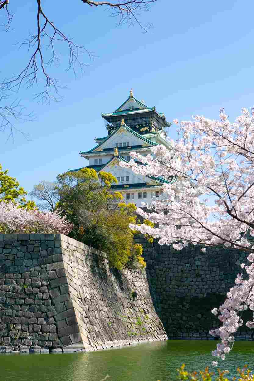 Обзорная экскурсия «Знакомство с Осака»