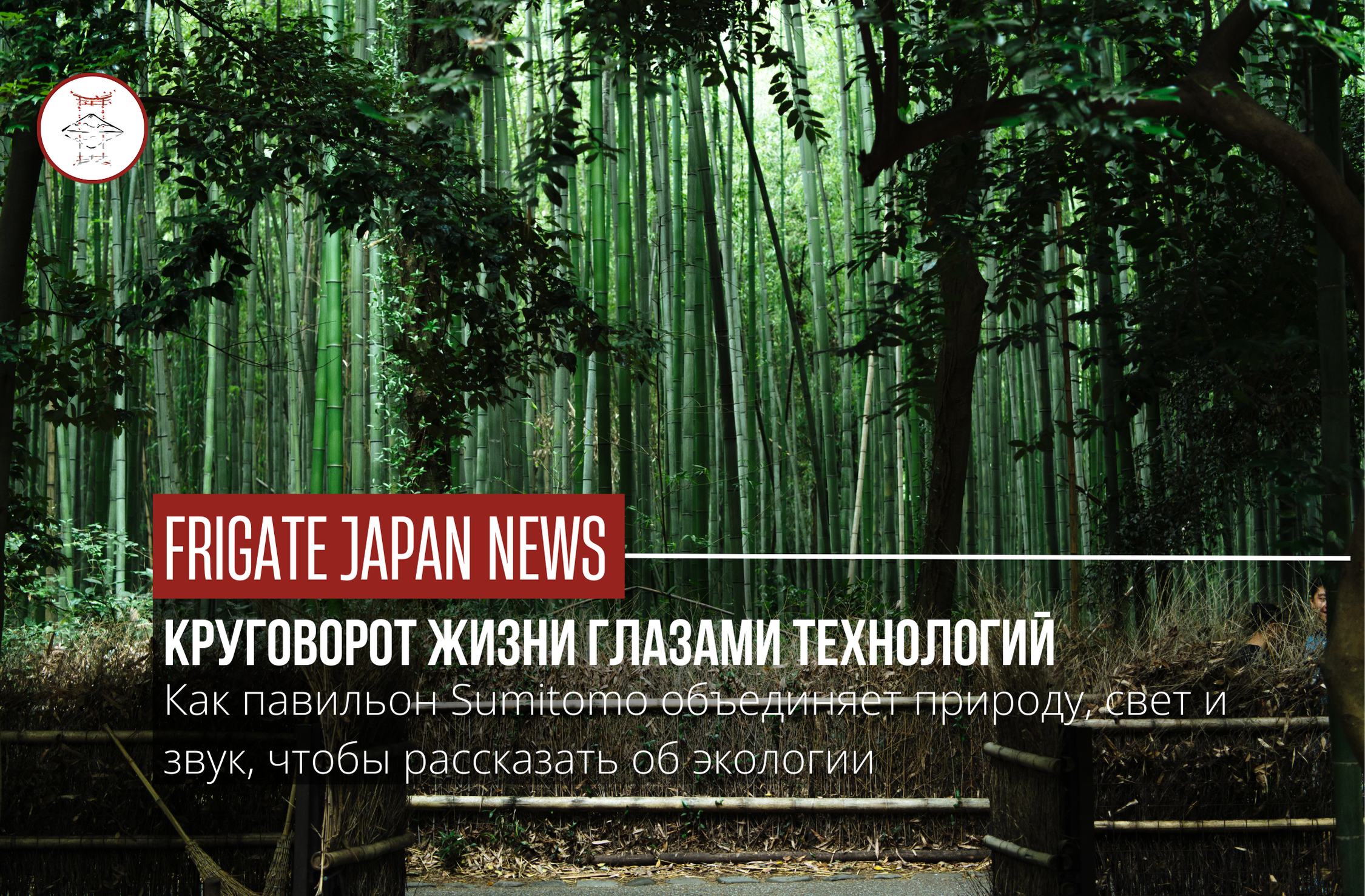 Лес под крышей: главная интерактивная зона павильона Sumitomo