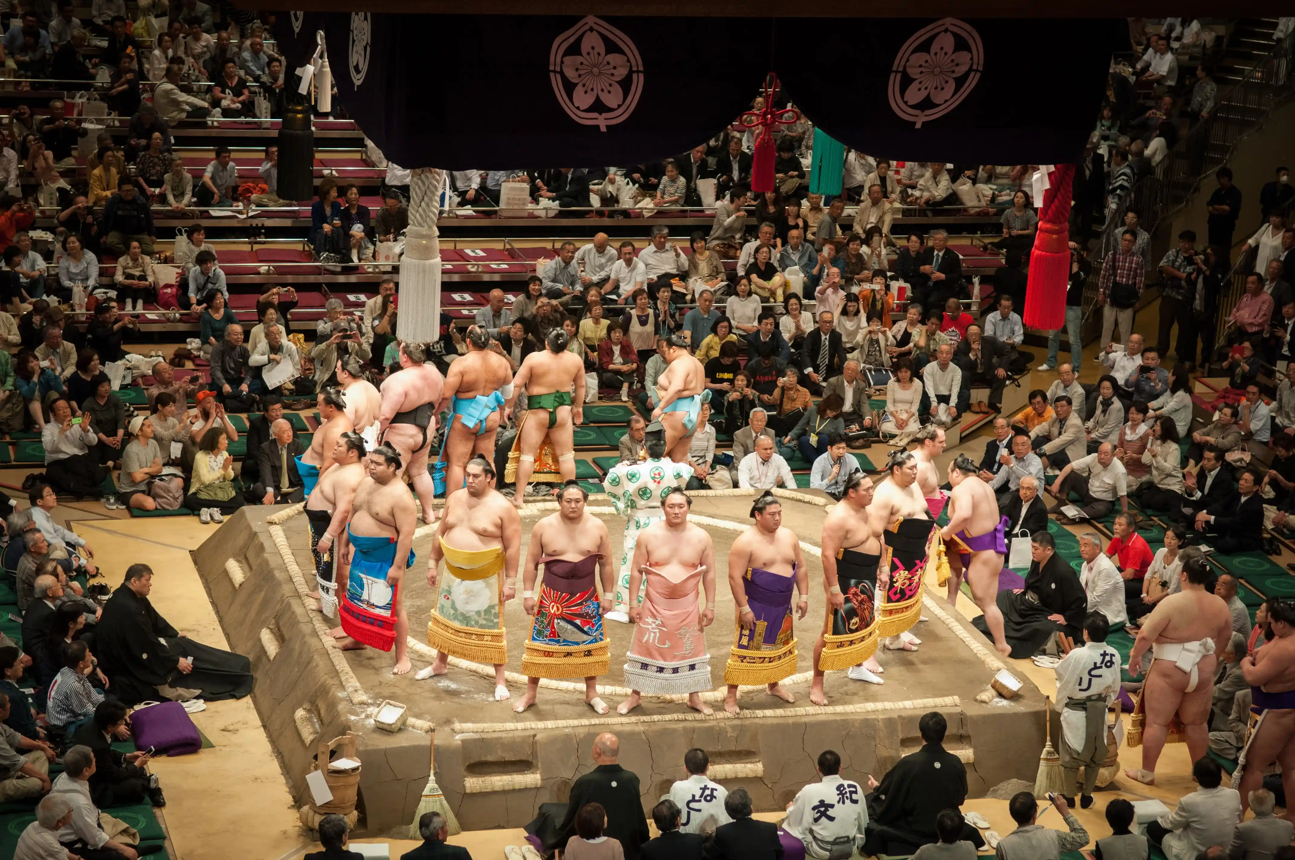 Турнир сумо (Токио)
