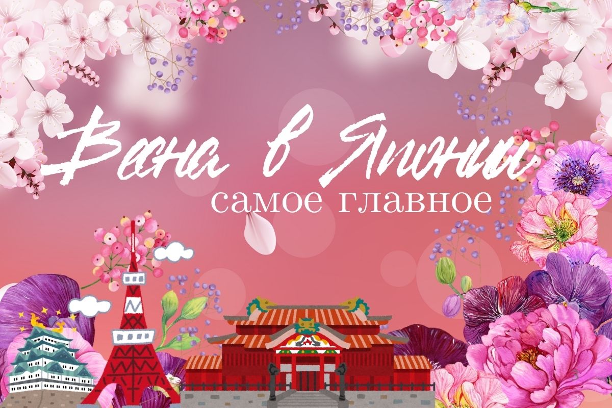 Япония весной: только самое важное для вашего отдыха