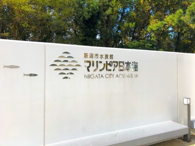 Океанариум Маринэпиа Нихонкай Niigata City Aquarium Marinepia Nihonkai