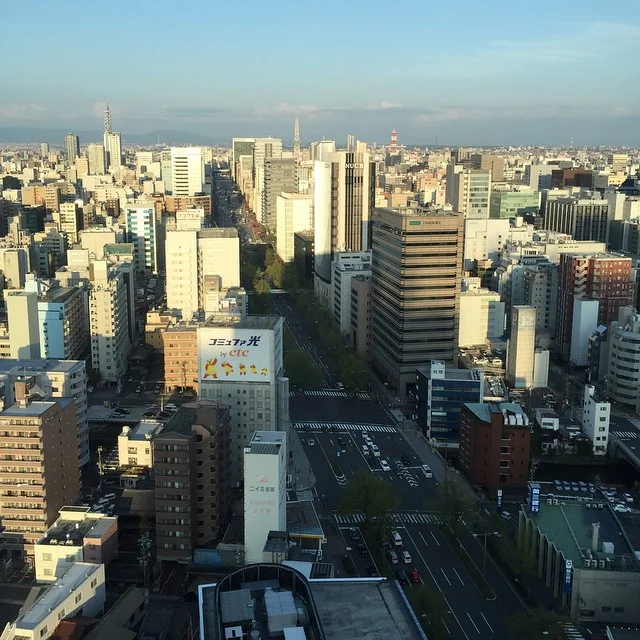 Обзорная экскурсия по Нагоя (из Нагоя)