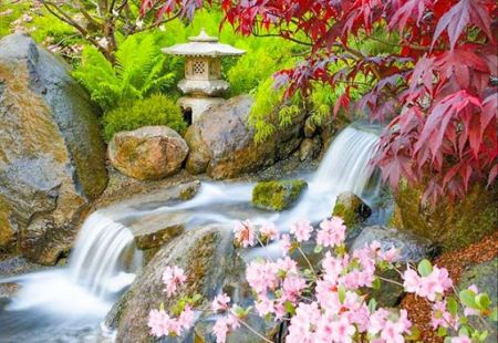 Японские клены, онсены и снежные обезьяны (осень 2026)