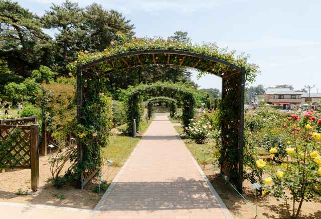 Парк Сикисима  