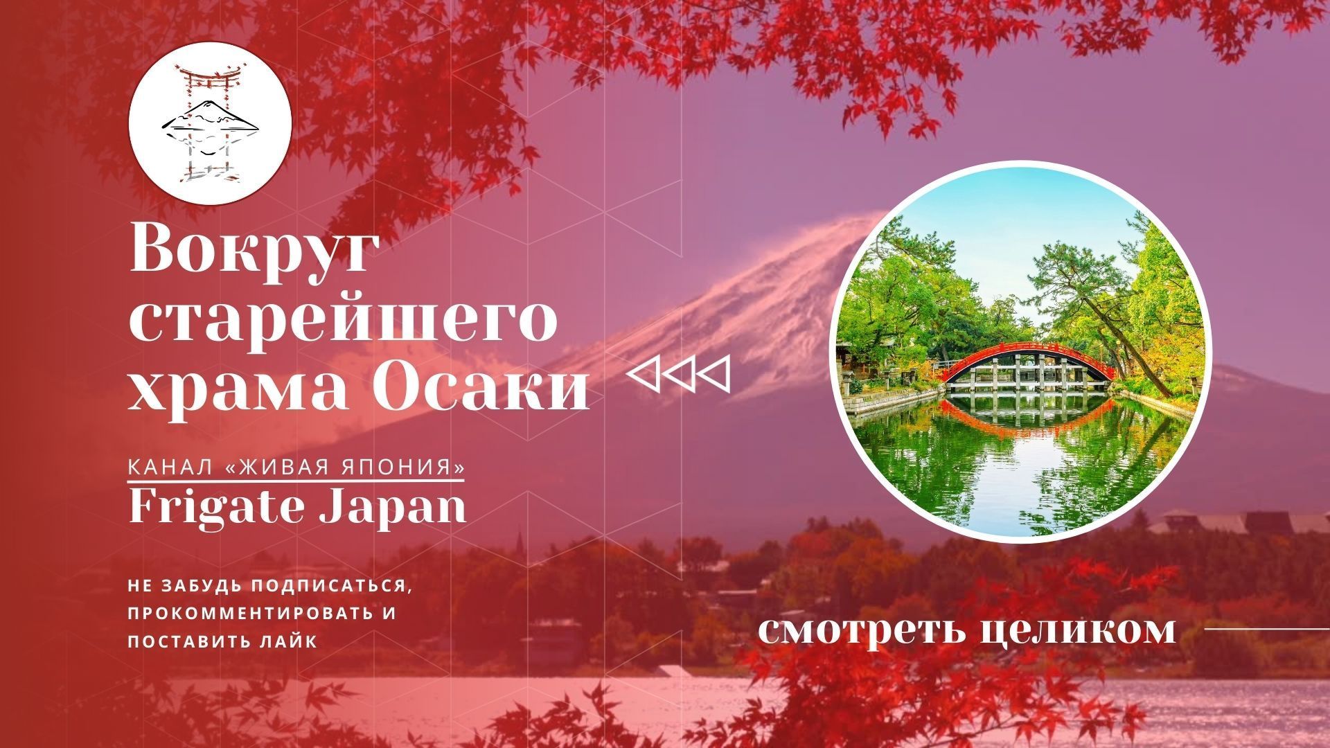 Прогулка по окрестностям старейшего замка в Осака