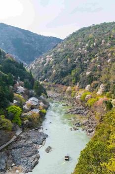 Экскурсия «Тайные уголки Киото и Арасиямы. Бамбуковый парк Ракусай и архаты Нэнбуцудзи»