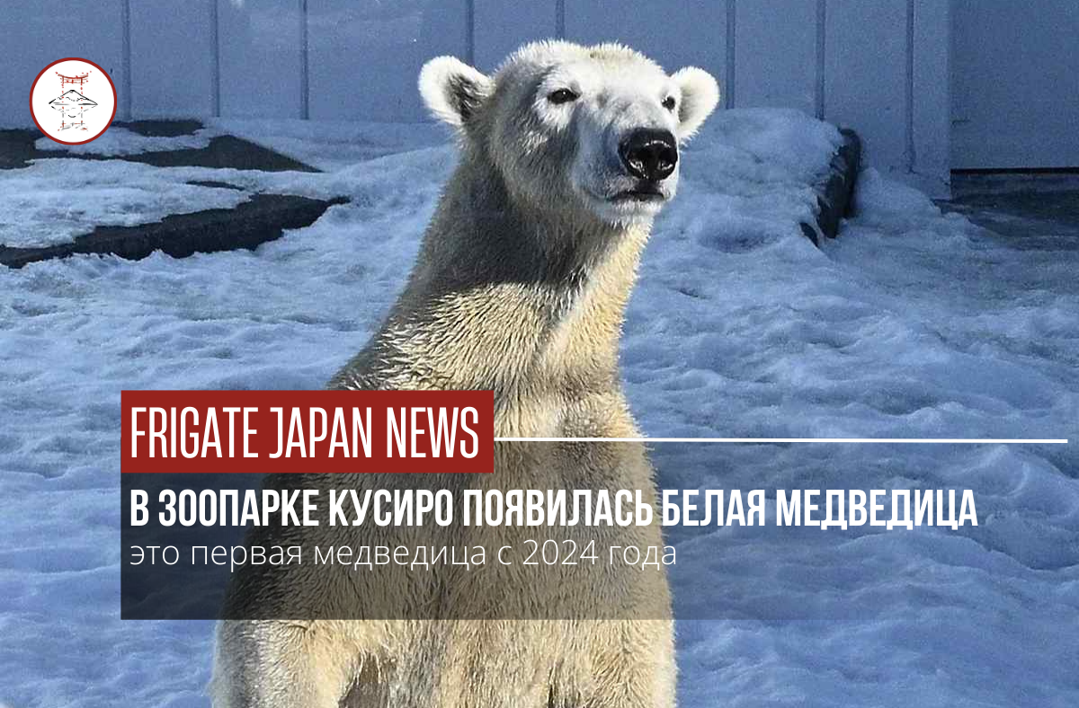 Белая медведица появилась в зоопарке Кусиро, Хоккайдо