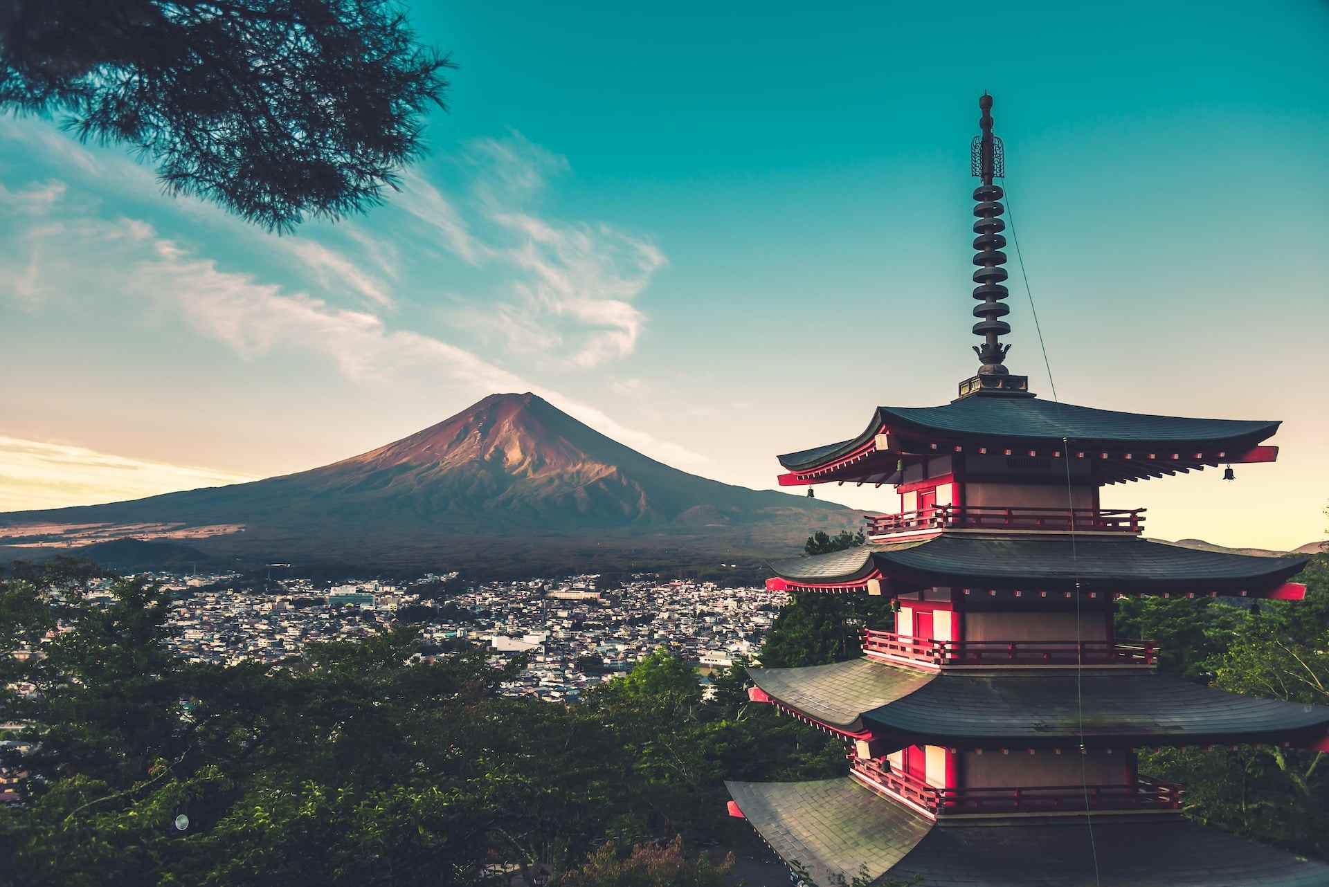 Photo by Max Bender on Unsplash