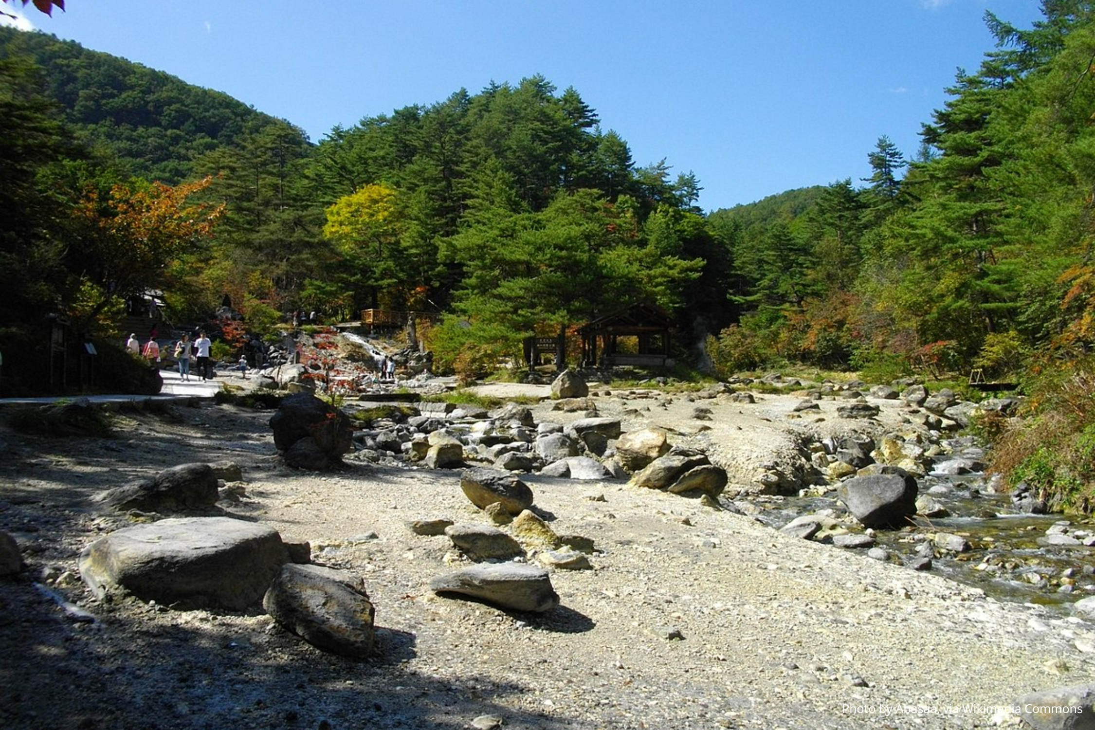 Парк Сайноковара 