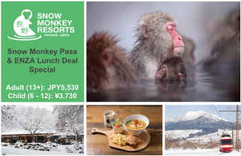 Проездной Snow Monkey PASS