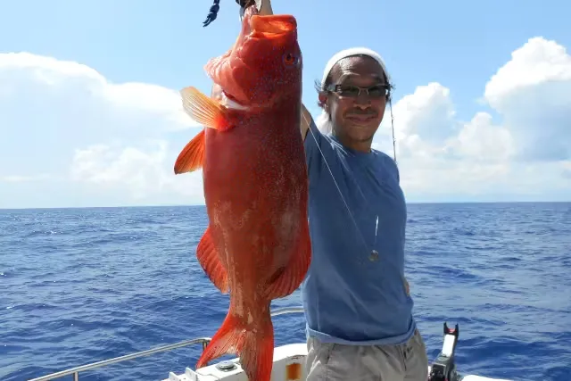 Рыбалка в Токийском Заливе