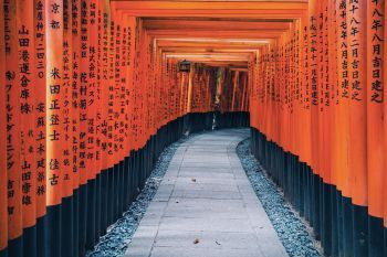 Классическая Япония. Возврат из Осака (зима 2025-2026)