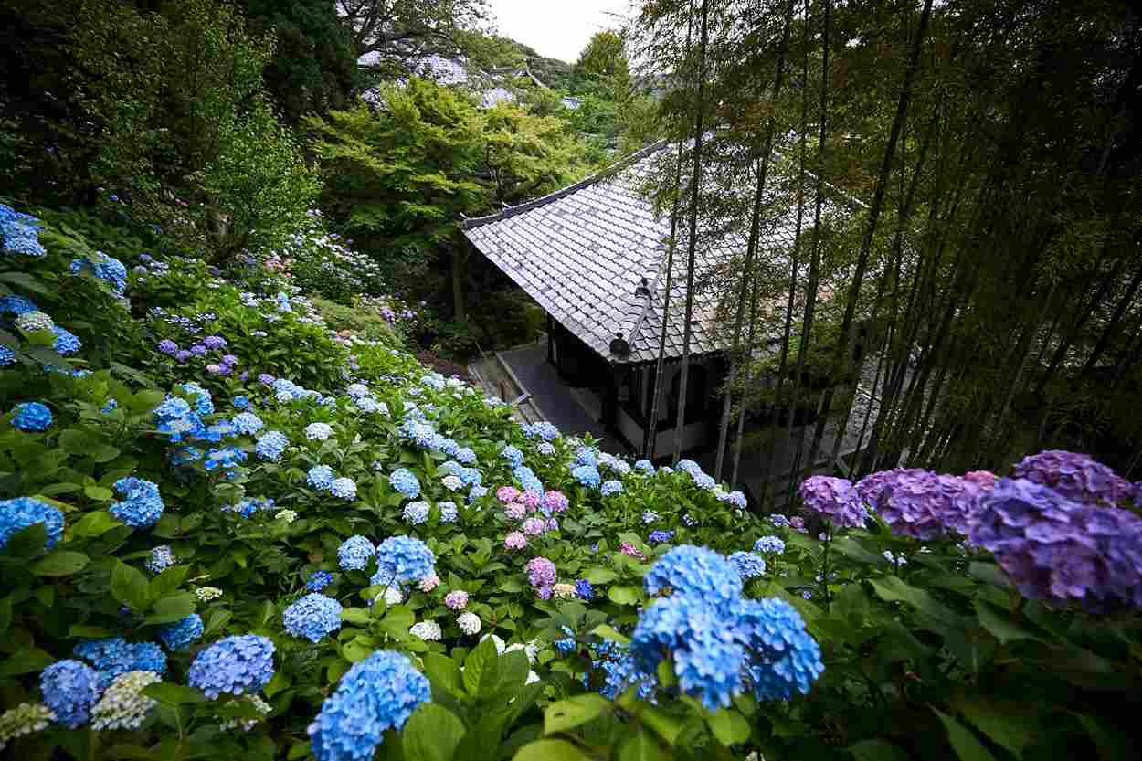 Экскурсия «Древняя столица Камакура и термальный комплекс на острове Эносима»