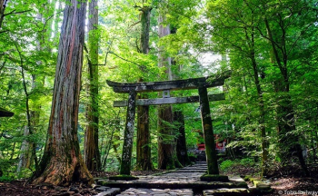 Храм Такиноо Takinoo Shrine