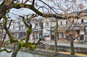 Курасики