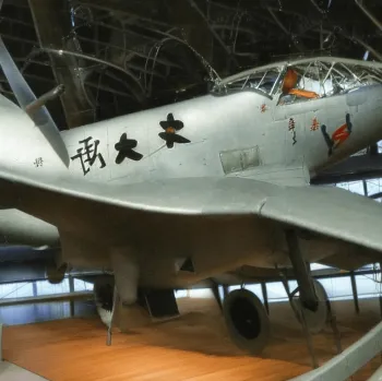 Экскурсия "Самурайская деревня Чиран и ущелье Такатихо" (Остров Кюсю)