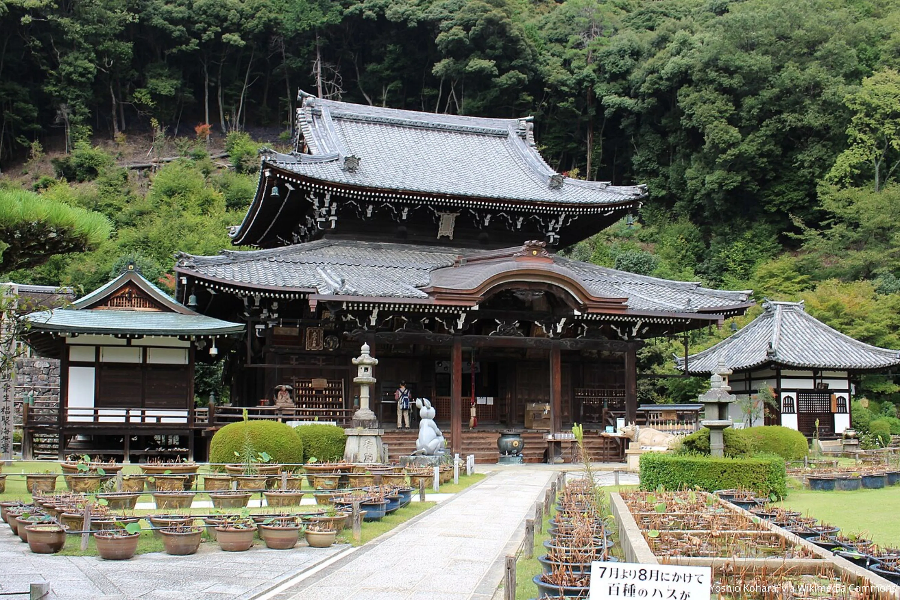 Храм Мимуротодзи 