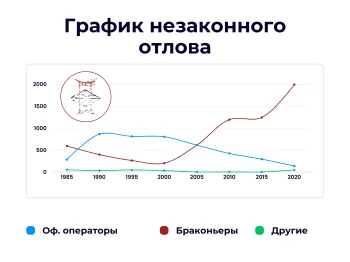 Япония борется с безудержным браконьерством на море