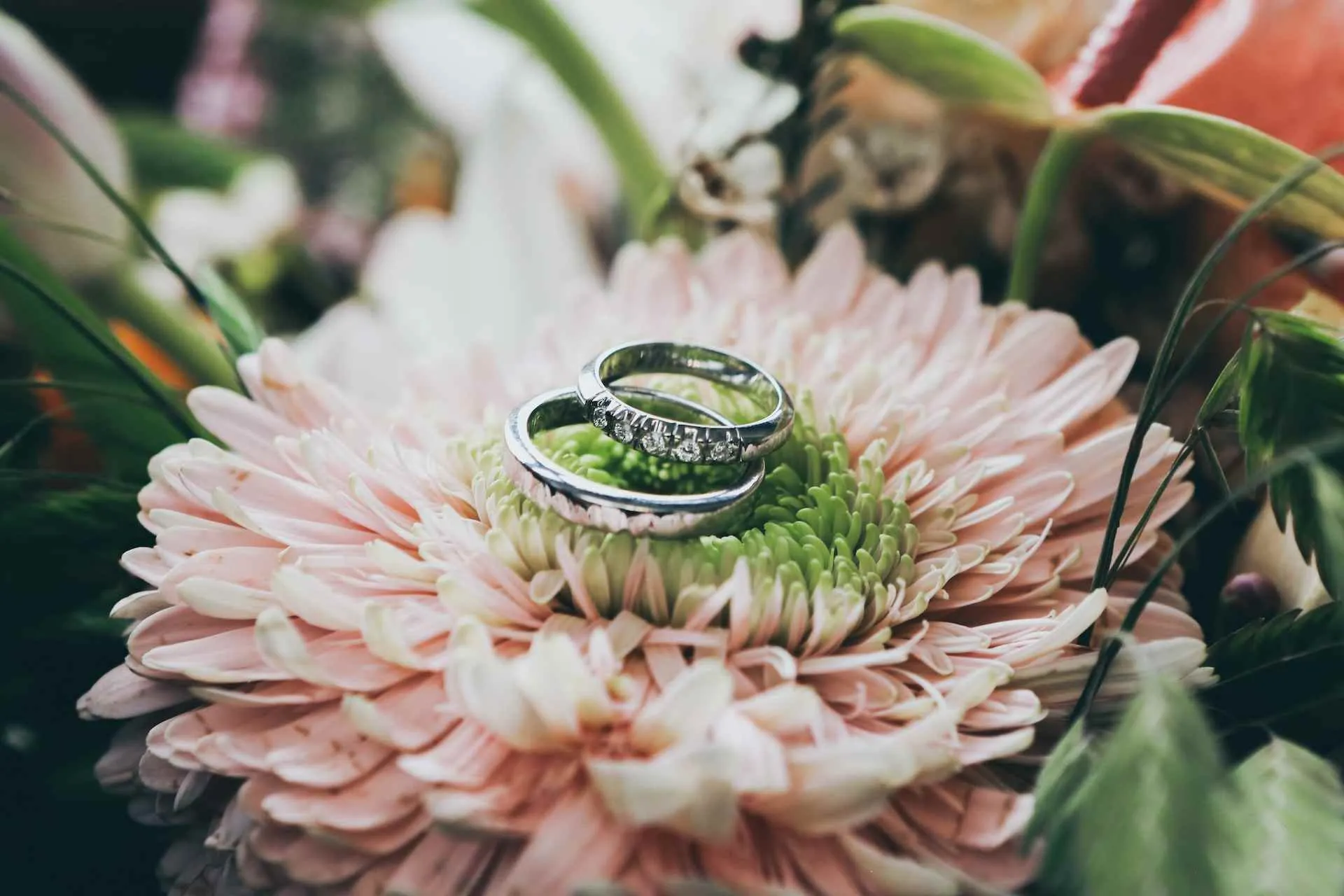 Photo by Nick Karvounis on Unsplash