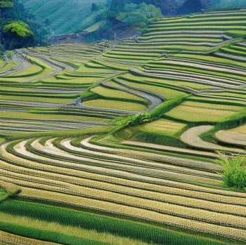 Экскурсия "Дорога в тысячу ри и рисовые террасы Сэнмаида" (Полуостров Ното-1)