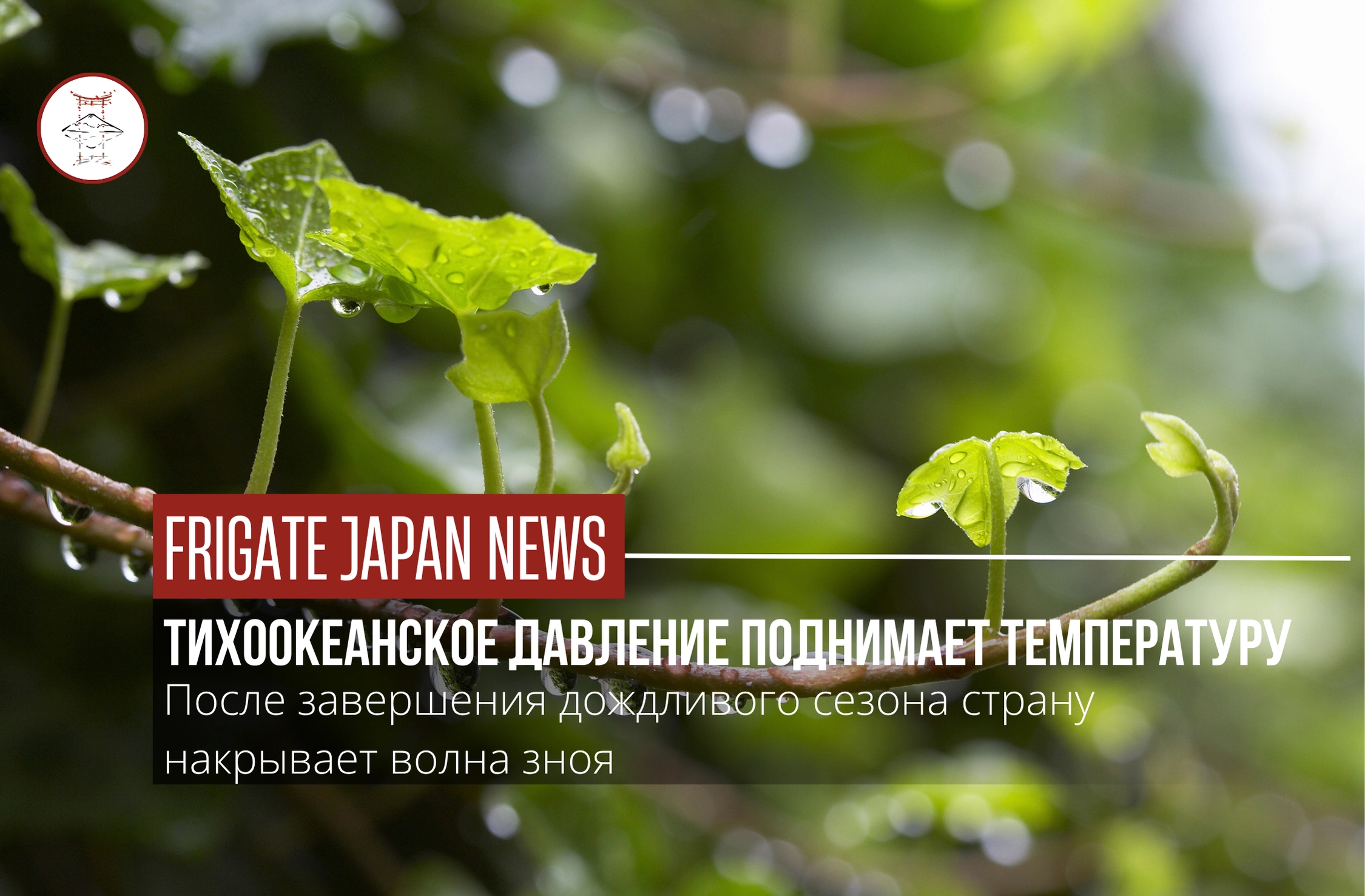 Сезон дождей завершился в Токио и других регионах Японии