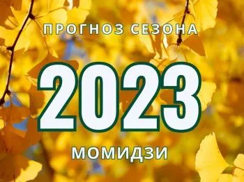 Первый прогноз на сезон Момидзи 2023