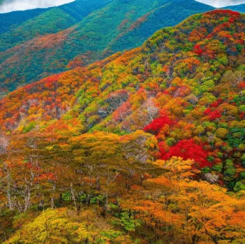 Экскурсия "Аомори, рисовые поля Инакадатэ или гора Хаккода" (Север острова Хонсю)