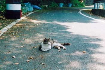 Остров Тасиро