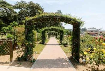 Парк Сикисима  