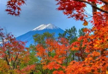 Япония с Востока на Запад. Возврат из Осака (осень 2026)