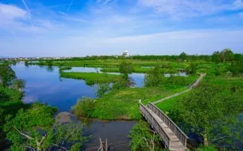 Лагуна Фукусимагата Fukushimagata Lagoon