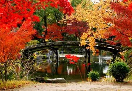 Классическая Япония (осень 2026)