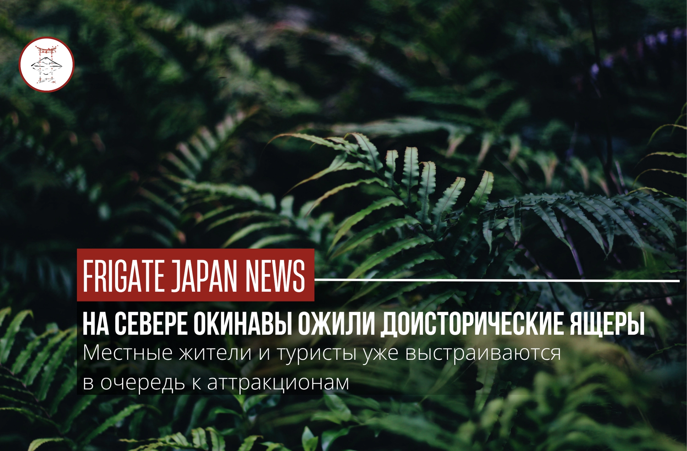 Добро пожаловать в джунгли: в Окинаве открылся парк Junglia