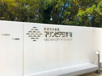 Океанариум Маринэпиа Нихонкай Niigata City Aquarium Marinepia Nihonkai