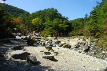 Парк Сайноковара 